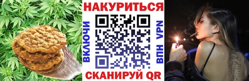 дарнет шоп  Цимлянск  гидра   Cannafood конопля 