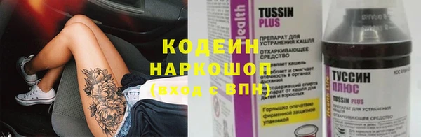 индика Абаза