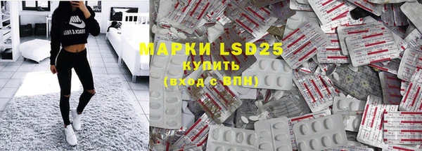 индика Абаза