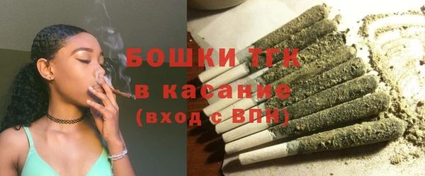 индика Абаза